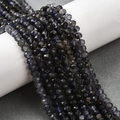 Природные иолит нитей бисера G-RM2025-C40-3x4mm