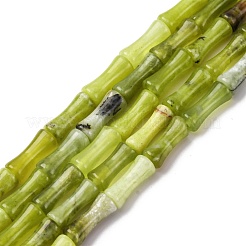 Природного нефрита Xiuyan бисер нитей G-L624-G05-12x5mm