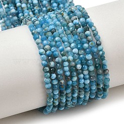 Природного апатита нитей бисера G-D347-A01