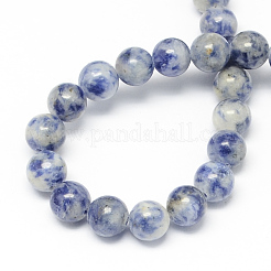 Fili di perle di diaspro macchia blu naturale&nbsp;G-R193-15-10mm