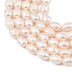 Нити из натурального культивированного пресноводного жемчуга&nbsp;PEAR-F020-23B