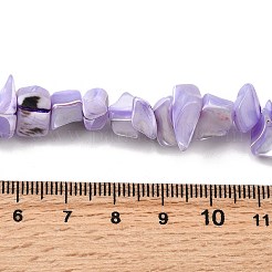 Нити бусин из натуральных трохоидных/трохус ракушек SHEL-B003-02F