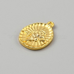 Pendentifs d'émail en alliage&nbsp;FIND-WH20032-61B