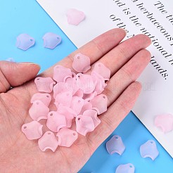 Прозрачные акриловые бусины MACR-S373-106-D05