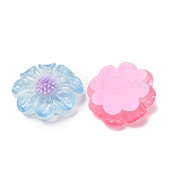 Transparente Harz- und Glitzerpulver-Cabochons&nbsp;RE-CBA0EC6-12
