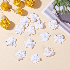 Подвески из смолы RESI-CJ0002-03