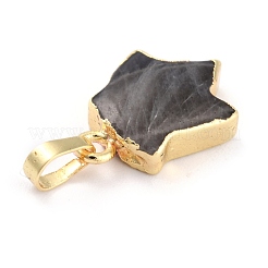 Природные подвески лабрадорита&nbsp;G-B012-11G-02