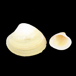 Perle di guscio&nbsp;SSHEL-T005-08