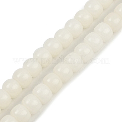 天然菩提根ビーズ連  ブッダ釈迦ビーズ  ロンデル  ホワイト  8x6mm  穴：1.4mm  約114個/連  26.52''（67.35センチメートル）&nbsp;WOOD-B010-A02-6x8mm