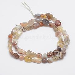 Природные Ботсвана агат бисер нитей G-F521-45