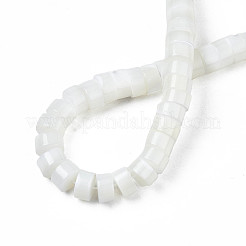 Нити из натуральной раковины трохида/бусины трохуса SSHEL-N027-128