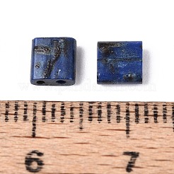 Branelli del seme di vetro della vernice di cottura a 2 foro&nbsp;SEED-N009-03B