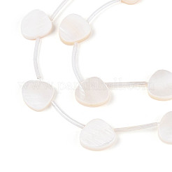 Нити бусин из натуральных пресноводных ракушек SHEL-T020-32