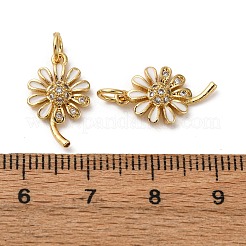 Латунные микро проложить кубического циркония подвески&nbsp;LS-KK-D390-20G-02