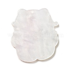 Печатные подвески из непрозрачного акрила&nbsp;LS-SACR-G031-01A