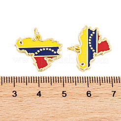 Подвески из латуни с эмалью в стойку KK-P269-07G