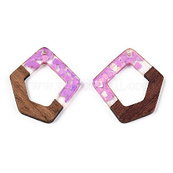 Подвески из прозрачной смолы и ореха&nbsp;RESI-N039-61A