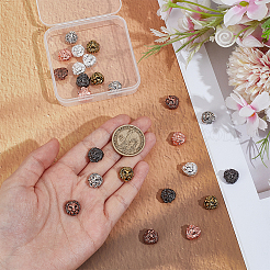 24 шт. 6-х цветные бусины из сплава в тибетском стиле в виде головы льва&nbsp;TIBEB-OC0001-01