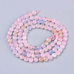 Природные морганит нитей бисера G-R475-014