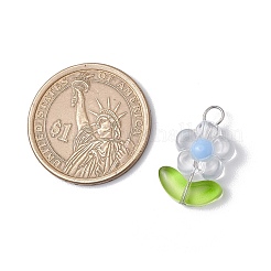 Прозрачные акриловые подвески&nbsp;PALLOY-JF03713-01