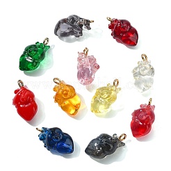12 pz 12 colori pendenti in resina 3D trasparente&nbsp;RESI-CJ0005-29