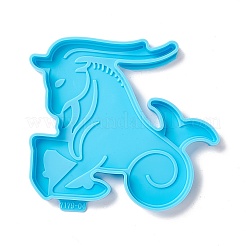 Молды для силиконовых ковриков в форме созвездия&nbsp;LS-DIY-M039-11D