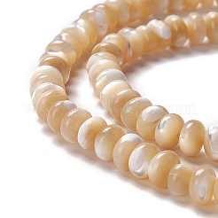 Fili di perle di conchiglia trochid naturale / trochus&nbsp;SSHEL-O001-24A-01