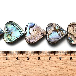 Нити бусин из натуральной раковины морского ушка/ракушки пауа SSHEL-F306-01