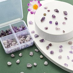 60g 4 Stil natürliche gemischte Edelstein-Chip-Perlen&nbsp;G-FS0001-43