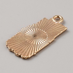 Pendentifs émail en alliage de zinc&nbsp;FIND-WH0260-07B-LG