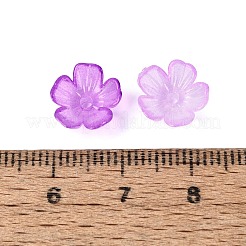 Capuchons de perles en plastique transparent&nbsp;KY-Q005-02A-06