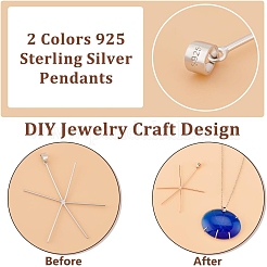 2 pz 2 colori 925 pendenti in argento sterling&nbsp;FIND-PH0022-08