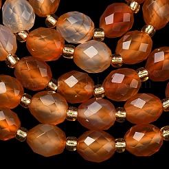 Природного сердолика нитей бисера&nbsp;G-F809-A51-01