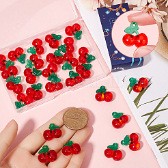 30 шт. подвески в виде фруктов из смолы&nbsp;CRES-SC0002-94