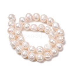 Fili di perle di perle d'acqua dolce coltivate naturali&nbsp;PA-CBABE82-12A
