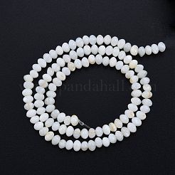 Нити бусин из натуральных пресноводных ракушек SHEL-G013-03B