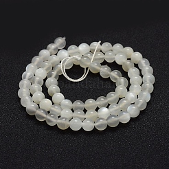 Натуральный белый лунный камень бисер пряди G-P335-04-10mm