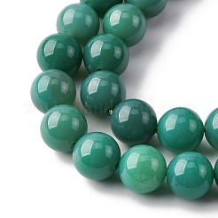 Натуральные бусины из зеленого оникса и агата (окрашенные и нагретые) G-K393-A03-10mm