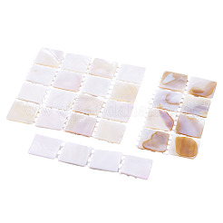 3 шт. 3 стиля натуральной ракушки для дизайна ногтей&nbsp;ODIS-TA0001-04