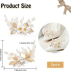 1 комплект украшений из сплава для обуви FIND-FG0001-39