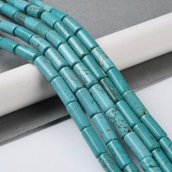 Природные Говлит бисер нитей G-Q008-A02-01