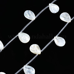 Eau douce naturelle de coquillage perles brins, perles percées, larme, 19~20x14~15x2~3.5mm, Trou: 0.9mm, Environ 10 pcs/chapelet, 12.20 pouce ~ 13.18 pouces (31~33.5 cm)