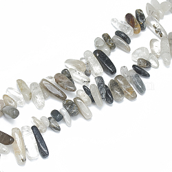 Natural Rutilated Quartz Beads Strands, Chip, 10~30x5~10x3~9mm, Hole: 1mm, about 65~85pcs/strand, 14.9 inch