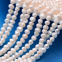 Hebras de perlas de perlas de agua dulce cultivadas naturales de papa, crema, 3~4mm, agujero: 0.8 mm, aproximamente 100 pcs / cadena, 13.3 pulgada ~ 14.1 pulgadas