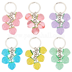 Porte-clés pendentif en résine de pêche, avec les accessoires en fer, pour la décoration de sac de clé de voiture, couleur mixte, 7.5 cm, 6 couleurs, 1 pc / couleur, 6 pièces / kit