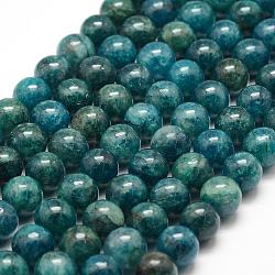 Natural Apatite Beads Strands, Round, 8mm, Hole: 1mm, about 48pcs/strand, 15.7 inch(40cm)