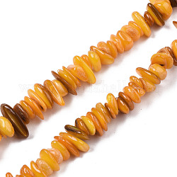 Natural Freshwater Shell Beads Strands, Dyed, Chips, Orange, 0.4~4x6.5~20x4.5~8.5mm, Hole: 0.7~0.8mm, about 301~340pcs/strand, 30.94 inch~32.36 inch(78.6cm~82.2cm)
