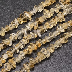 Chips natürlichen Citrin Perlen Stränge, 3~8x3~12x3~5 mm, Bohrung: 1 mm, etwa 32 Zoll
