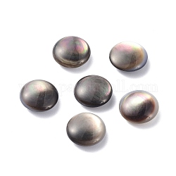 Shell perle naturali labbro nero, ovale, 12x4.5mm