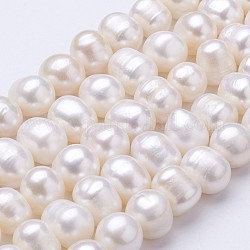 Fili di perle di perle d'acqua dolce coltivate naturali, patata, beige, 9~10mm, Foro: 0.5 mm, circa 42~44pcs/filo, 13.8~14.6 pollice